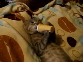 licking ice cream GIF