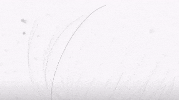 Shimadzu Benelux GIF