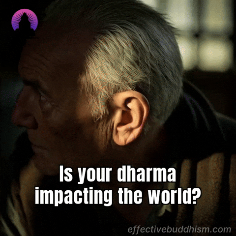 Challenge Impact GIF by Effective Buddhism