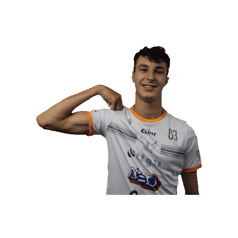 Sticker by Fenice Pallavolo Roma