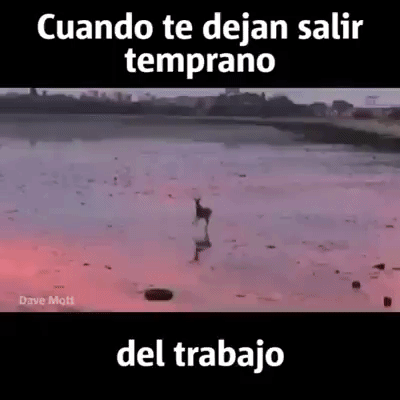 sabanas-blancas-universe  GIF