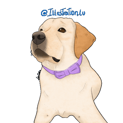 Dogs Puppy Sticker