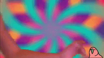 music video dancing GIF by Vengaboys