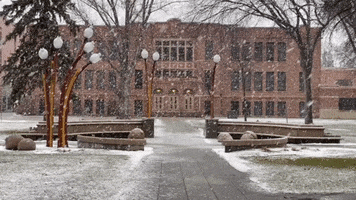 Snow Winter GIF by Minnesota State University Moorhead