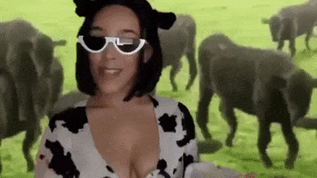 Cow GIF by Doja Cat