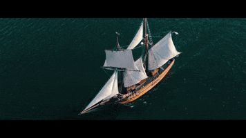In Hearts Wake Ship GIF by unfdcentral