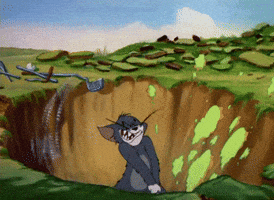 tom tunes GIF