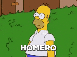 margarito  GIF