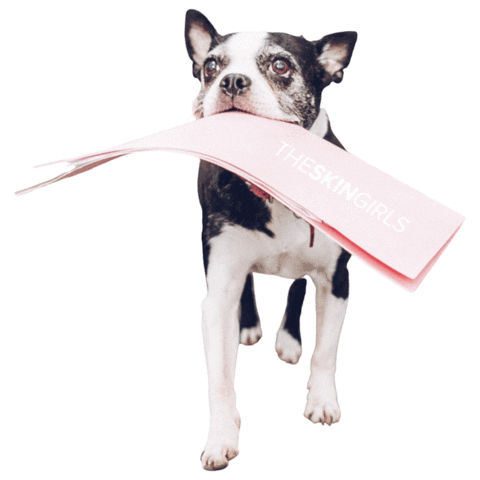 The Skin Girls Sticker