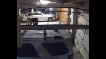 Theft GIF