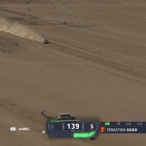 Wrc GIF by FIA World Rally Championship