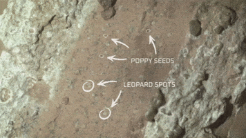 Mars Rover Nasa GIF