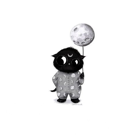 Black Cat Moon GIF