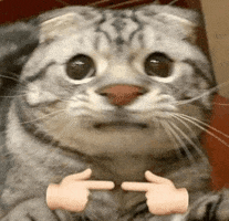 Zour GIF