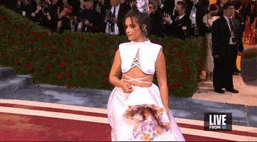 Met Gala GIF by E!