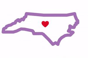 North Carolina Vote GIF by Kids Voting Durham