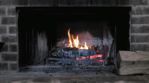 giphy.gif?cid=19f5b51a61629a0ceaa710d159