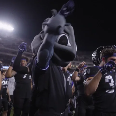 Horned Frogs GIF
