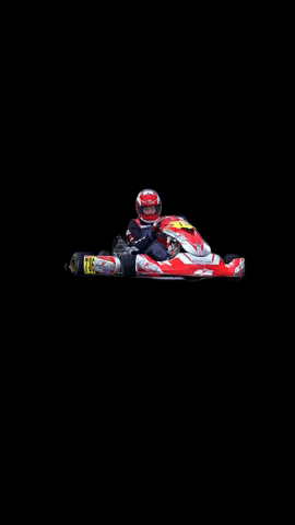 F1 Auto GIF by gennycitarella7