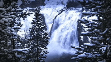 dzsigi nature winter cold GIF