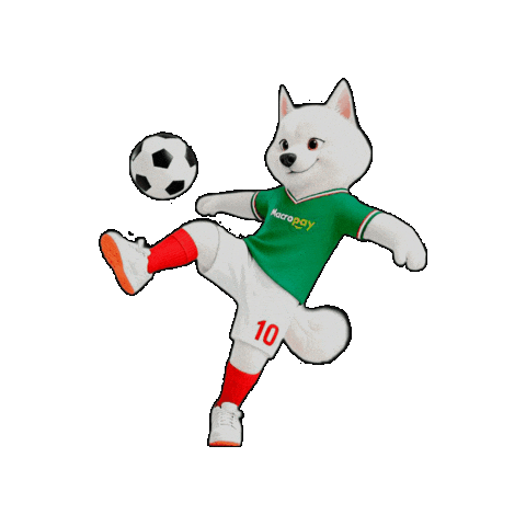 Futbol Coco Sticker by Macropay