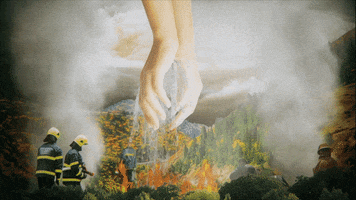 200.gif?cid=fc005b081b595461c40c231306a24aacc0ec755a4968f4d9&rid=200.gif&ct=g