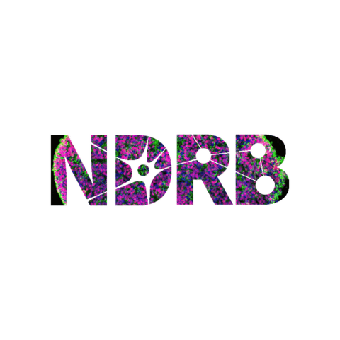 UTSA NDRB Sticker