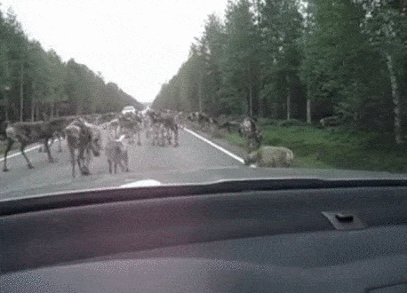 finland