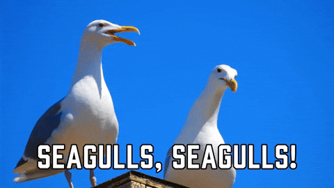Lunch with The Seagulls, Anime Friends, Lunch, Anime Guy, Couple, Anime,  Robot, HD wallpaper | Peakpx