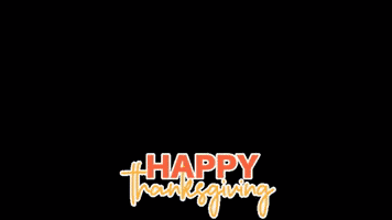 Bear Thanksgiving GIF by Glacier National Park Conservancy