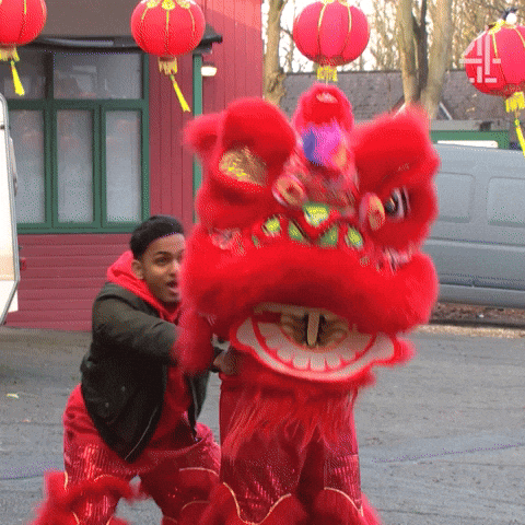 Celebrate Chinese New Year GIF by Hollyoaks