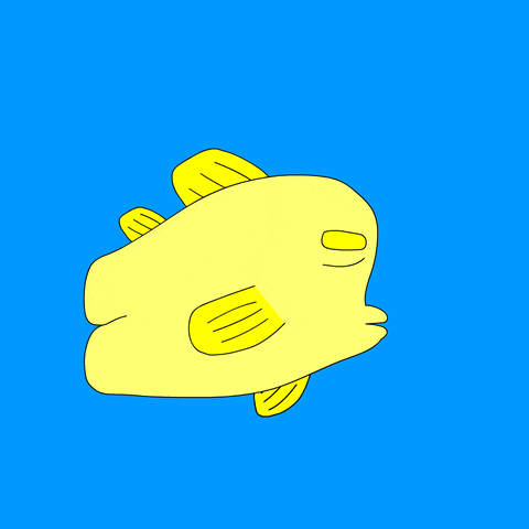 animation fish GIF by Ben