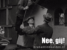 Brabant Spiegel GIF by BrabantinBeelden