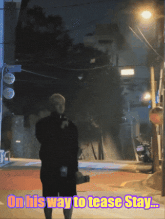 Stray Kids Skz GIF