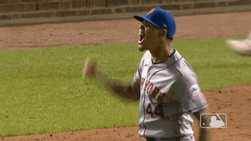 Excited GIF by New York Mets