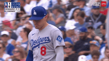 Los Angeles Dodgers Baseball GIF