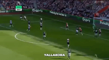 wesamtaha  GIF