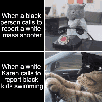 Meme gif. Two gifs. First gif: Animatronic grey cat wearing a police badge hangs up a rotary phone. Text, "When a Black person calls to report a white mass shooter." Second gif: Cat wearing a police hat speeds along in a car. Text, "When a white Karen calls to report Black kids swimming."