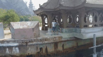 homeschool  GIF