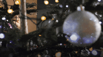 Celebrate Merry Christmas GIF by Hostinger