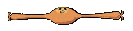 Animated Sticker