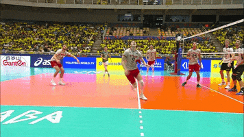 Here We Go Oops GIF by Volleyball World