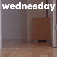 Wednesday Morning Dog GIF by Sealed With A GIF