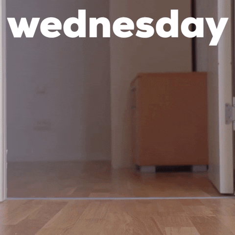 Video gif. A dachshund has a beard and a flannel on and it trots over to us, staring at us. It slowly trots away and the text reads, "Wednesday."