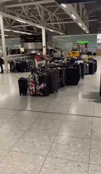 Lost Luggage GIFs