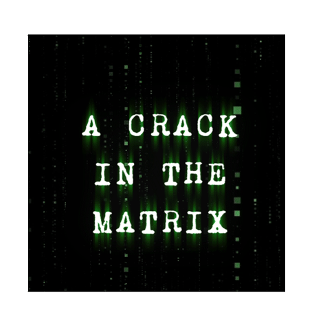 Amy Lee Sanctuary Sticker