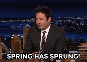 Its Gonna Be May Jimmy Fallon GIF by The Tonight Show Starring Jimmy Fallon
