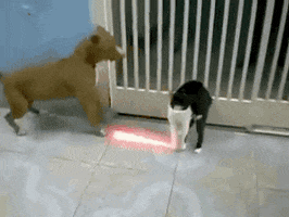 light saber fighting GIF