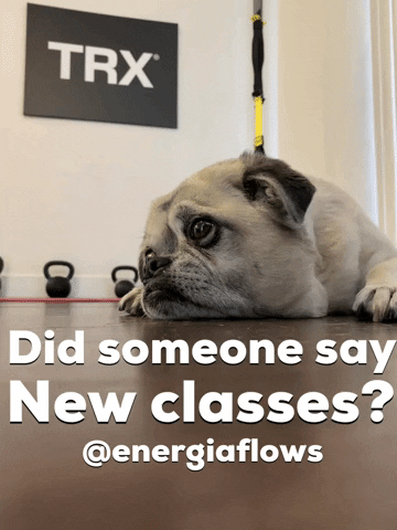 Energia Fitness GIF