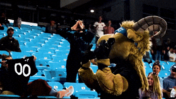 Usl Championship Soccer GIF by Switchbacks FC